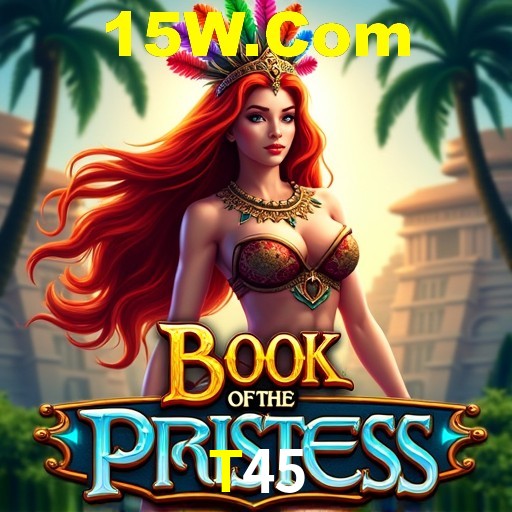 Login Interface